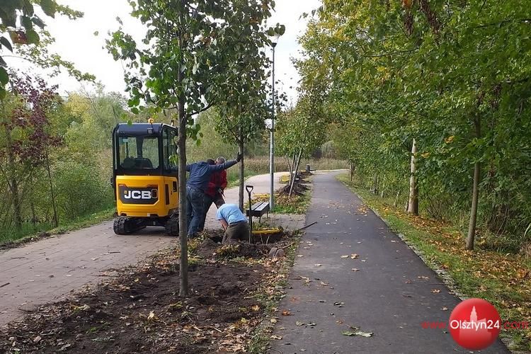 Sadzą i przesadzają