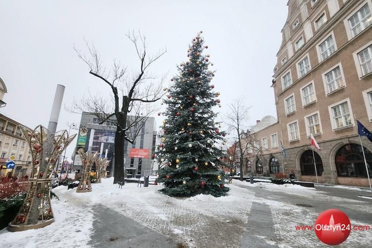 Ratuszowa choinka też czeka na rozświetlenie