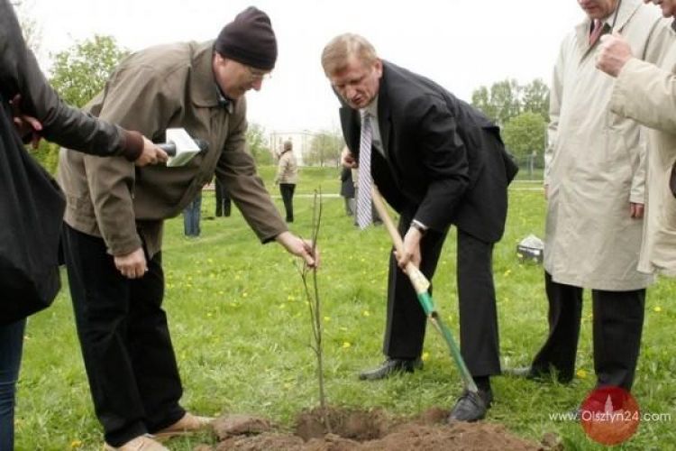 Kolejne 5 dębów w parku Kusocińskiego