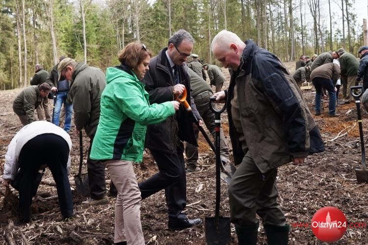 Pracowite Święto Lasu