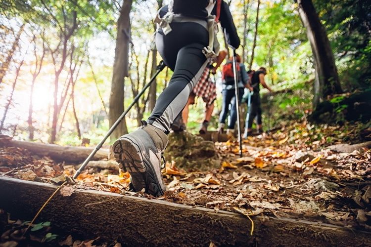 Jak dobrać idealne buty trekkingowe, które sprawdzą się na jesień i zimę?