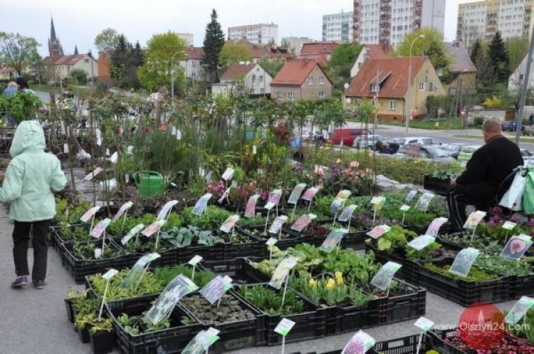 Dla każdego coś zielonego... i nie tylko