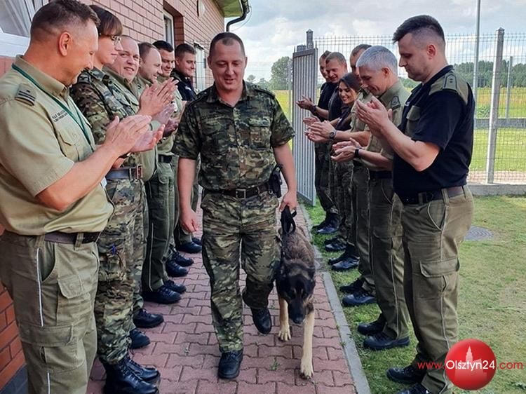 Ivor na zasłużonej emeryturze